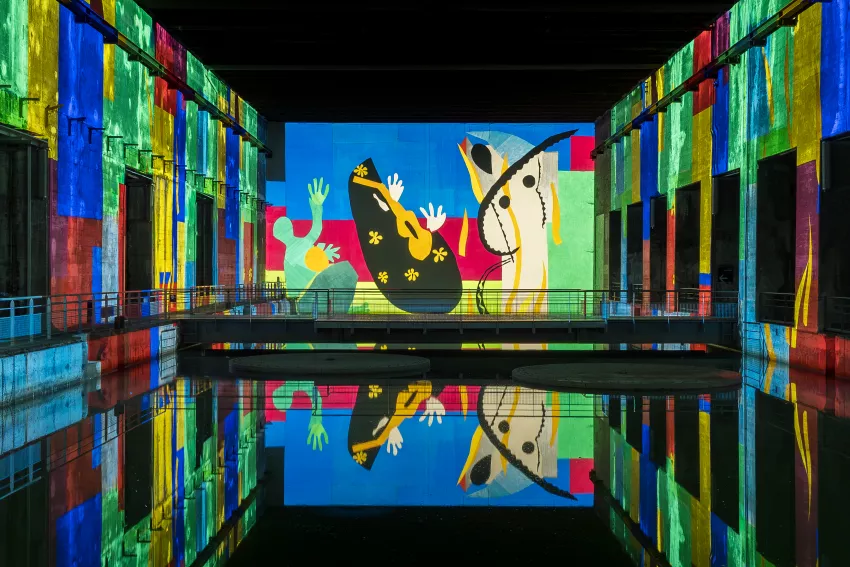 oeuvres colorées matisse projection eau