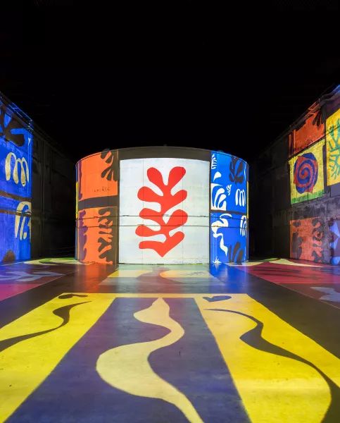 projection art oeuvre matisse couleurs