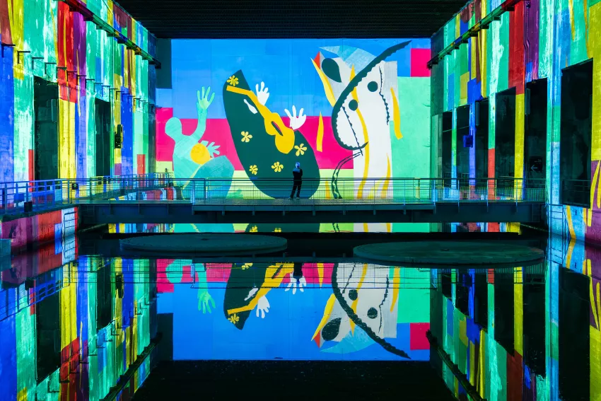 projection oeuvres matisse eau