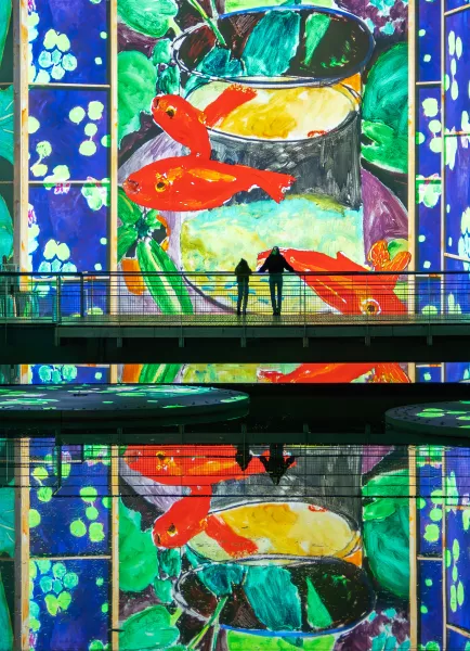 matisse poissons projection art digital