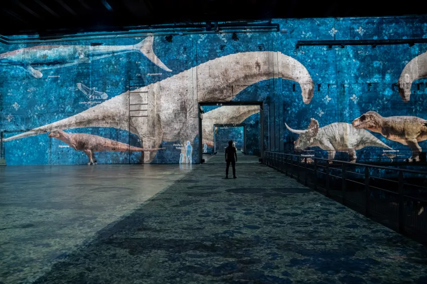dinosaures murs bassins des lumieres
