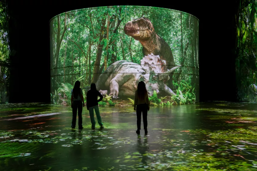 dinosaure citerne jungle bassin des lumières