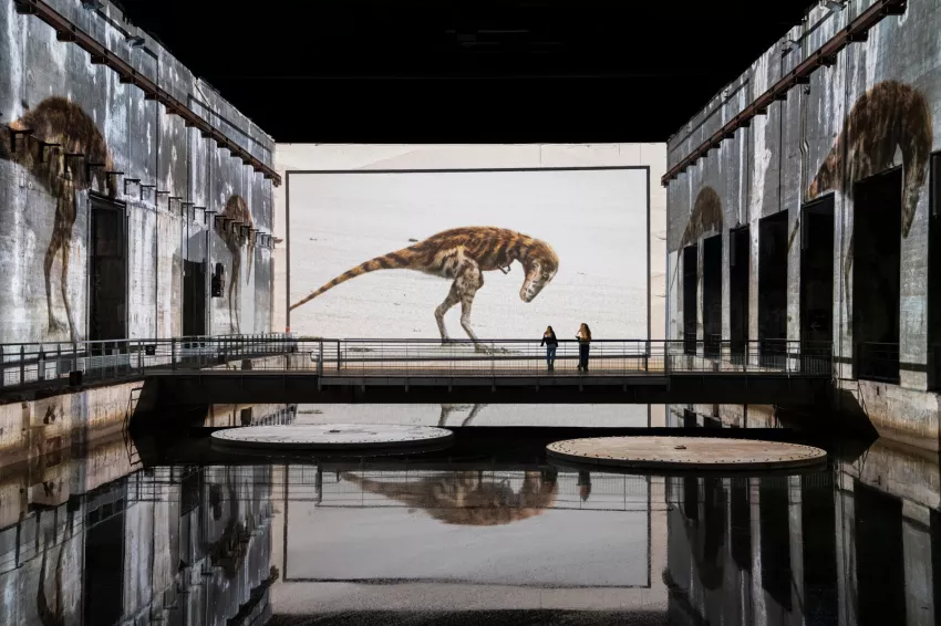 dinosaure fond blanc bassins des lumières