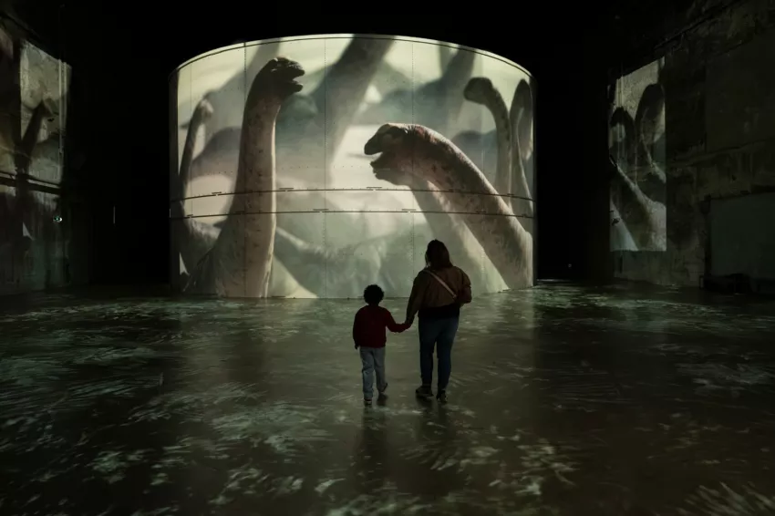 photo deux dinosaures bassins des lumières