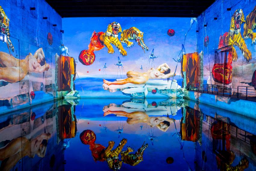 Dalí | Bassins des Lumières