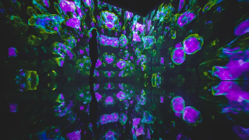 Vue exposition Événement Cell Immersion Bassins