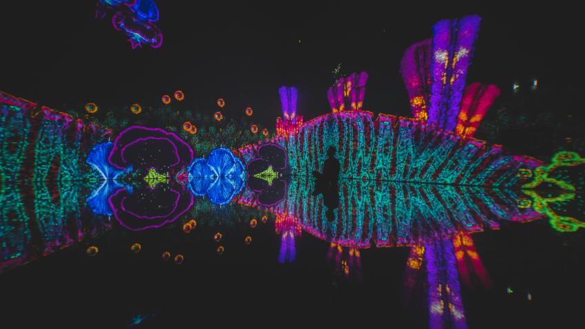 Vue exposition événement Cell Immersion Bassins