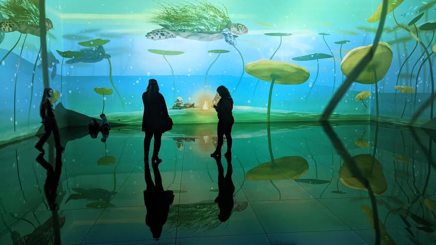Vue exposition visiteurs l'Autre Jardin Bassins