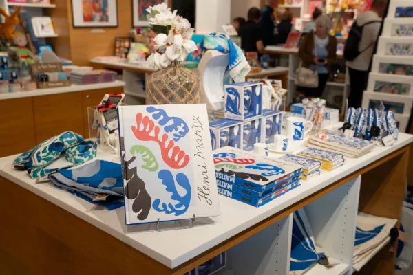 livres produits dérivés Matisse